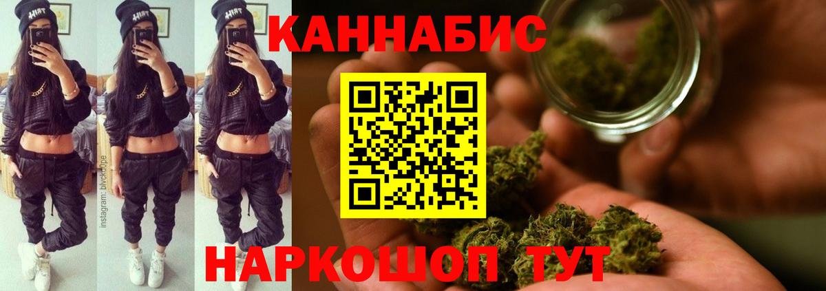 Бошки Шишки планчик  Каннабис THC 21%  Шишки марихуана семена  Вход с VPN  Артём 